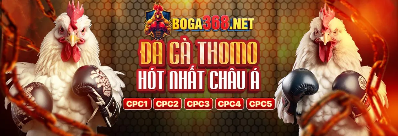 Sân đấu gà trực tuyến ZBET88